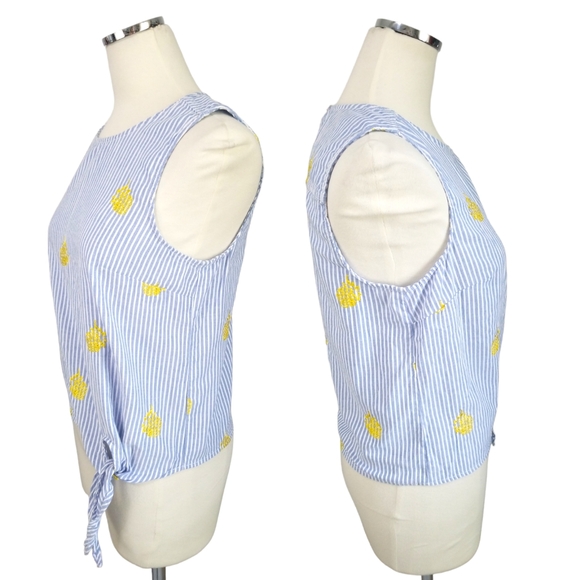 J. Crew Blue Striped Sleeveless Top Embroidered Pineapple SZ 6 - Picture 2 of 11